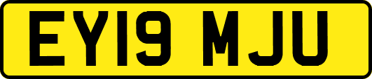 EY19MJU