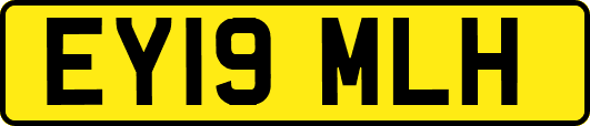 EY19MLH