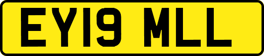 EY19MLL