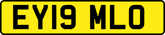EY19MLO