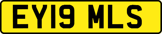 EY19MLS