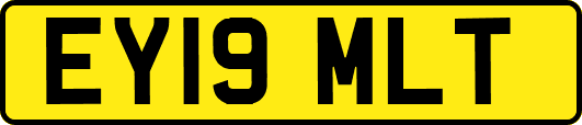 EY19MLT