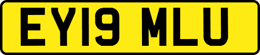 EY19MLU