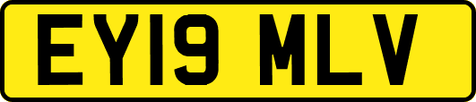 EY19MLV