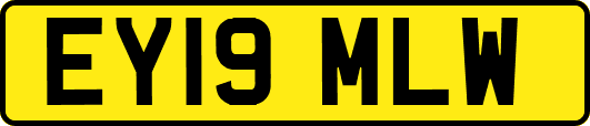 EY19MLW