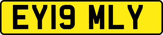 EY19MLY