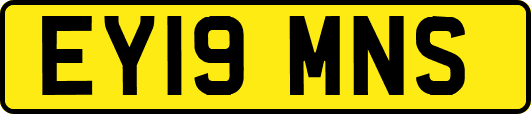 EY19MNS