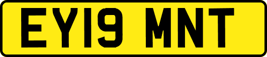EY19MNT
