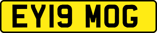 EY19MOG