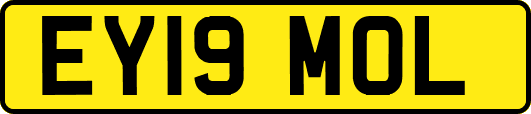 EY19MOL