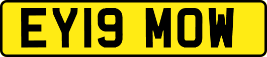 EY19MOW