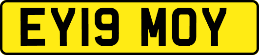 EY19MOY