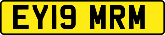 EY19MRM