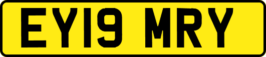 EY19MRY