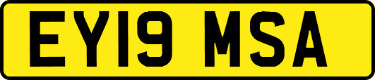 EY19MSA