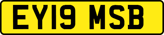 EY19MSB