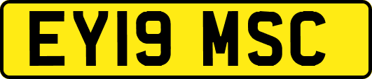 EY19MSC
