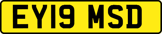 EY19MSD