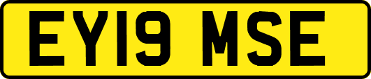 EY19MSE