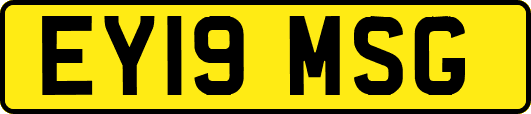 EY19MSG