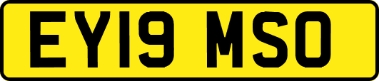 EY19MSO
