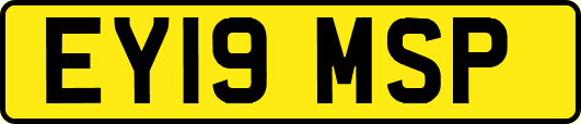 EY19MSP