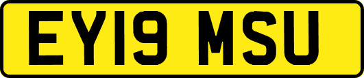 EY19MSU
