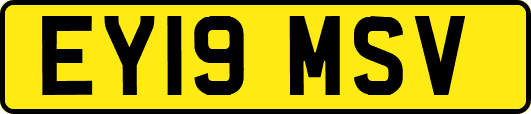 EY19MSV