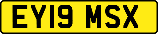EY19MSX
