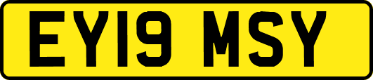 EY19MSY