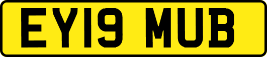 EY19MUB