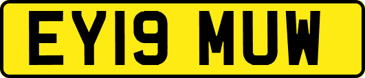 EY19MUW