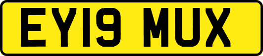 EY19MUX