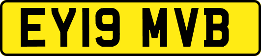 EY19MVB