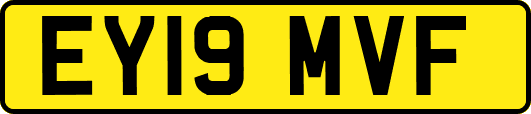 EY19MVF