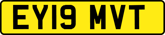 EY19MVT