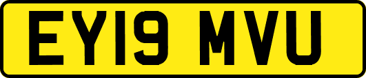 EY19MVU