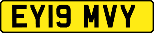 EY19MVY