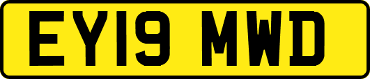 EY19MWD