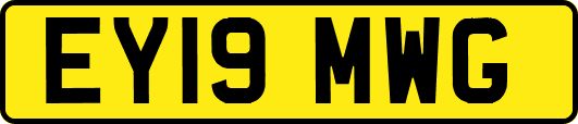 EY19MWG