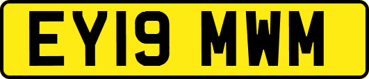 EY19MWM