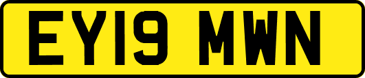 EY19MWN