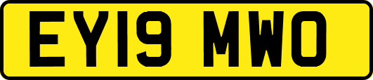 EY19MWO