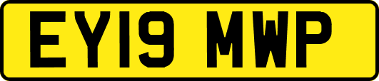 EY19MWP