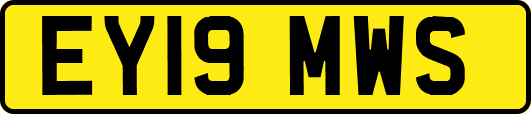 EY19MWS
