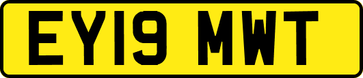 EY19MWT