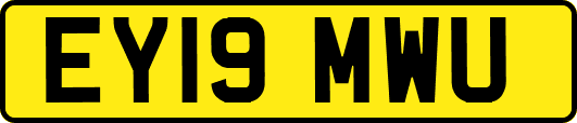 EY19MWU