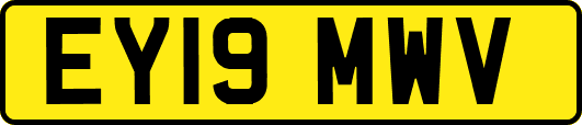 EY19MWV