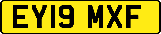 EY19MXF