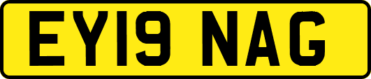 EY19NAG